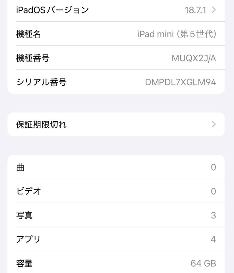 【美品】【電池容量89％】ipad mini（第5世代） WiFi 64GB