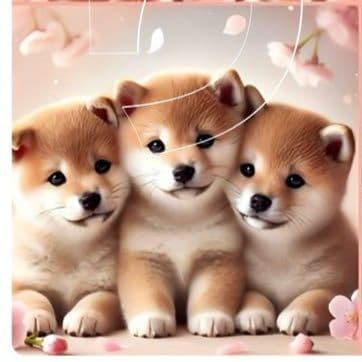 さくらとポメラニアン、柴犬、チワワ、パネル生地　ハンドメイド