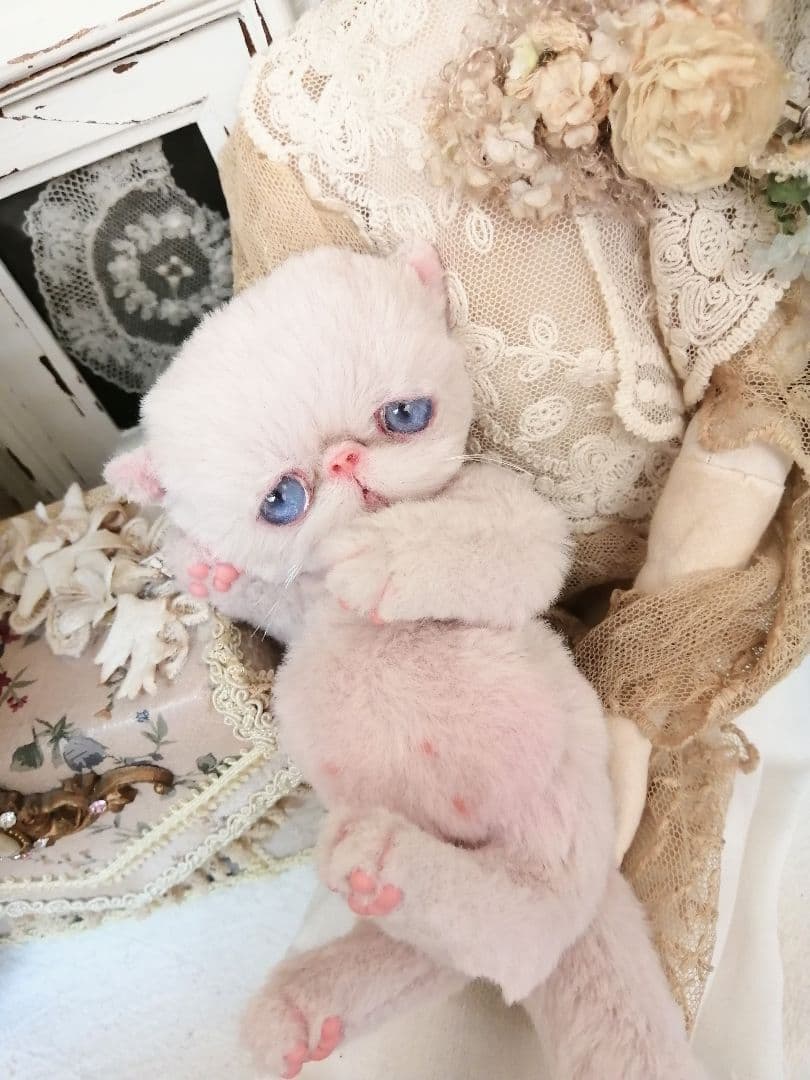 くろねこ様❤️オーダー❤️お腹ぽっこり♡エキゾチック子猫ちゃん♡アートドール♡