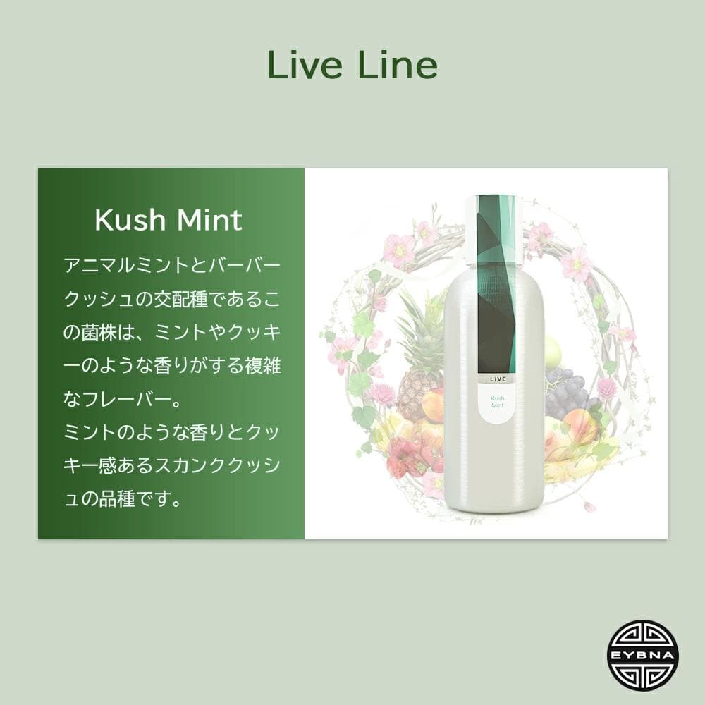 Eybna イブナ 香料 CBD CBN CBG 10ml クッシュミント