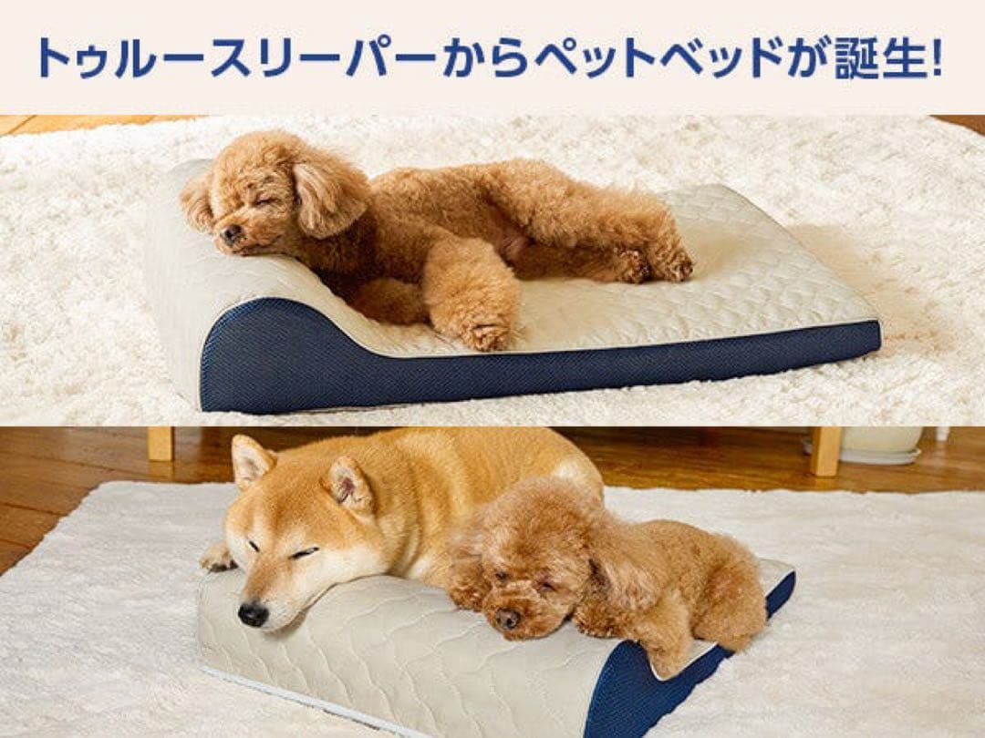 True Sleeper ペットベッド 小・中型犬用
