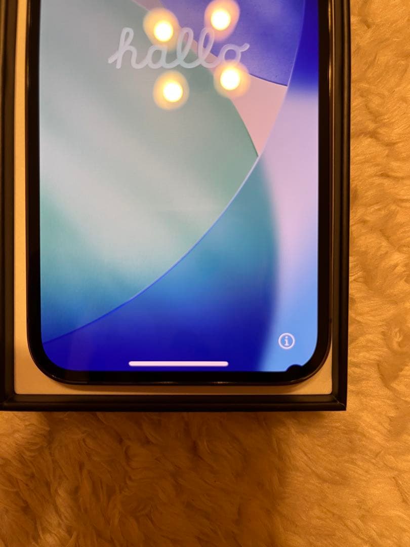 Apple iPhone 13 Pro (中古/1部表示欠け有)