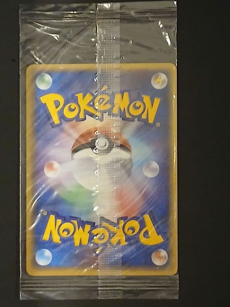ポケモンカード　グラードン　ポケパーク　プロモ　未開封