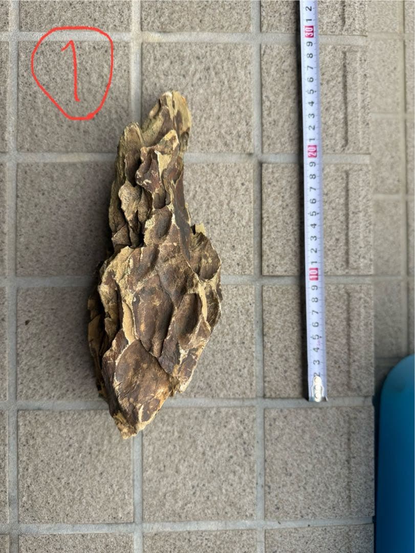 気孔石　黄虎石　まとめ売り　約25cmから10cm