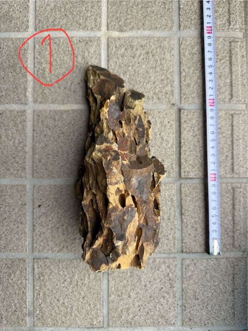 気孔石　黄虎石　まとめ売り　約25cmから10cm