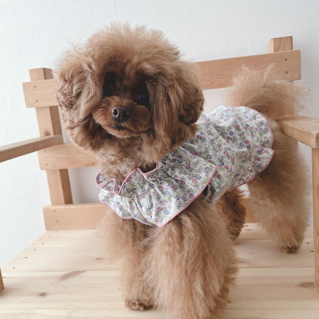 ハンドメイド　ボタニカルベリー　立ち襟バルーンチュニック　犬服