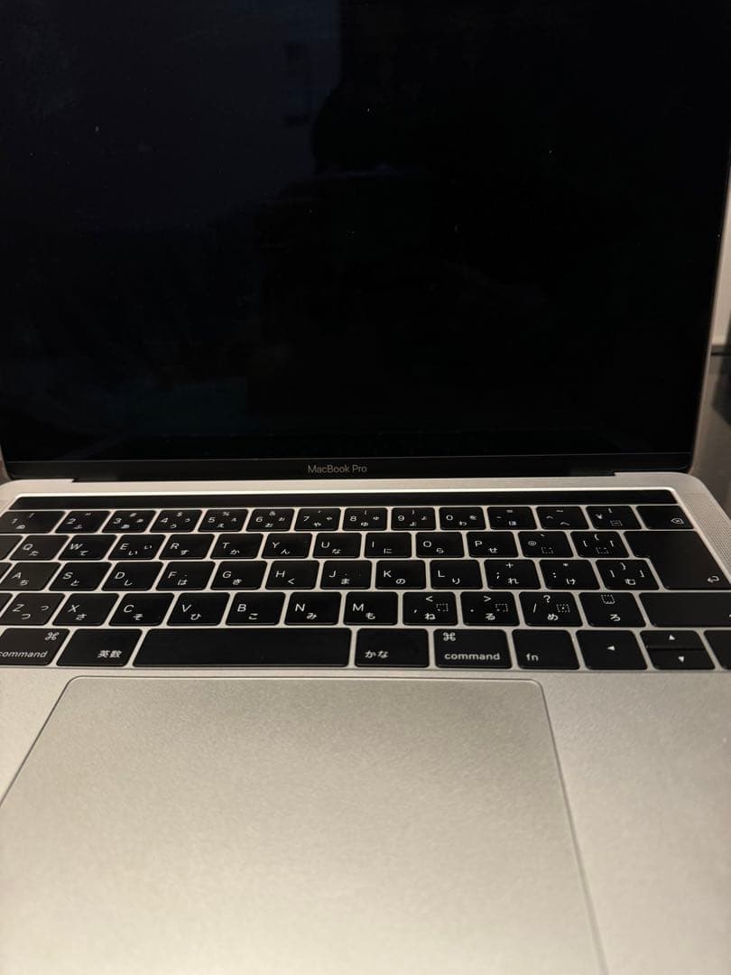 MacBook本体 Apple MacBook Pro 1.4GHz i5 8GB