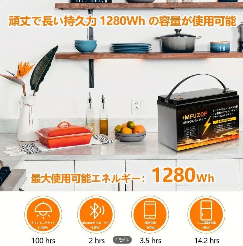 孝行 お値引き専用ページ