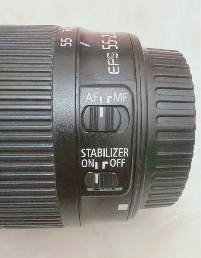 Canon EF-S 55-250mm F4 IS STM 望遠 ズーム レンズ