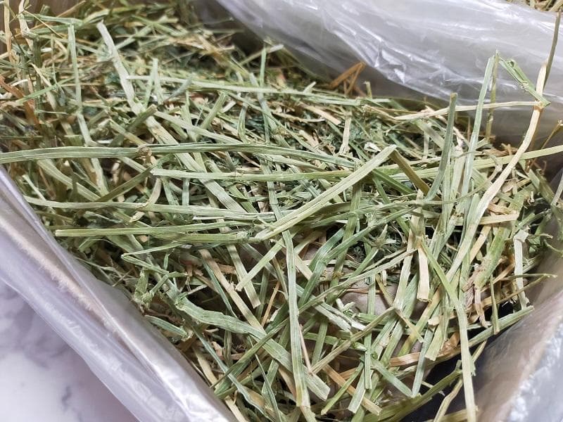 【9/16まで】 カナダ産 チモシー 30kg スーパープレミアム １番刈り