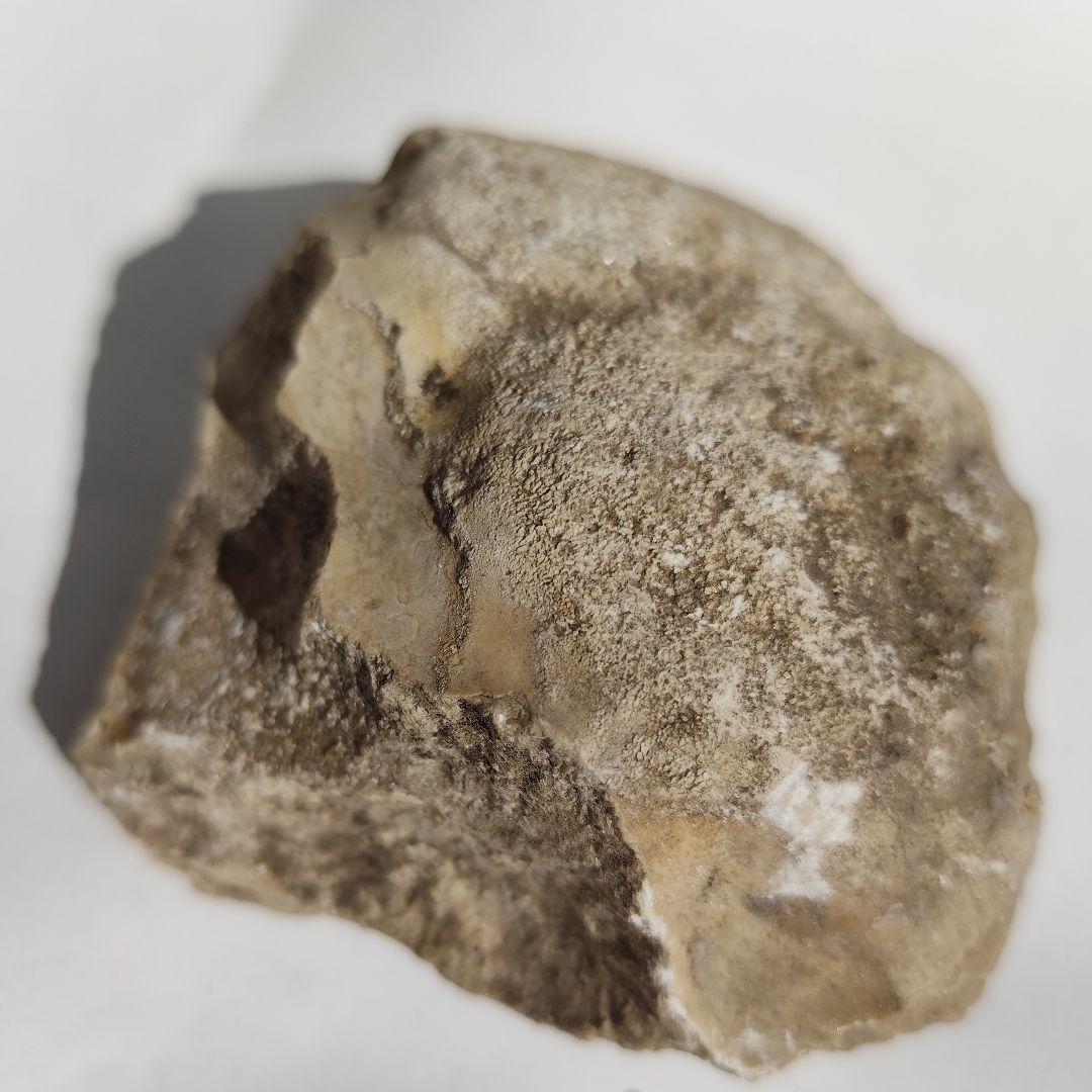 北投石 約800g ラジウム hokutolite 秋田玉川温泉ラドンホルミシス