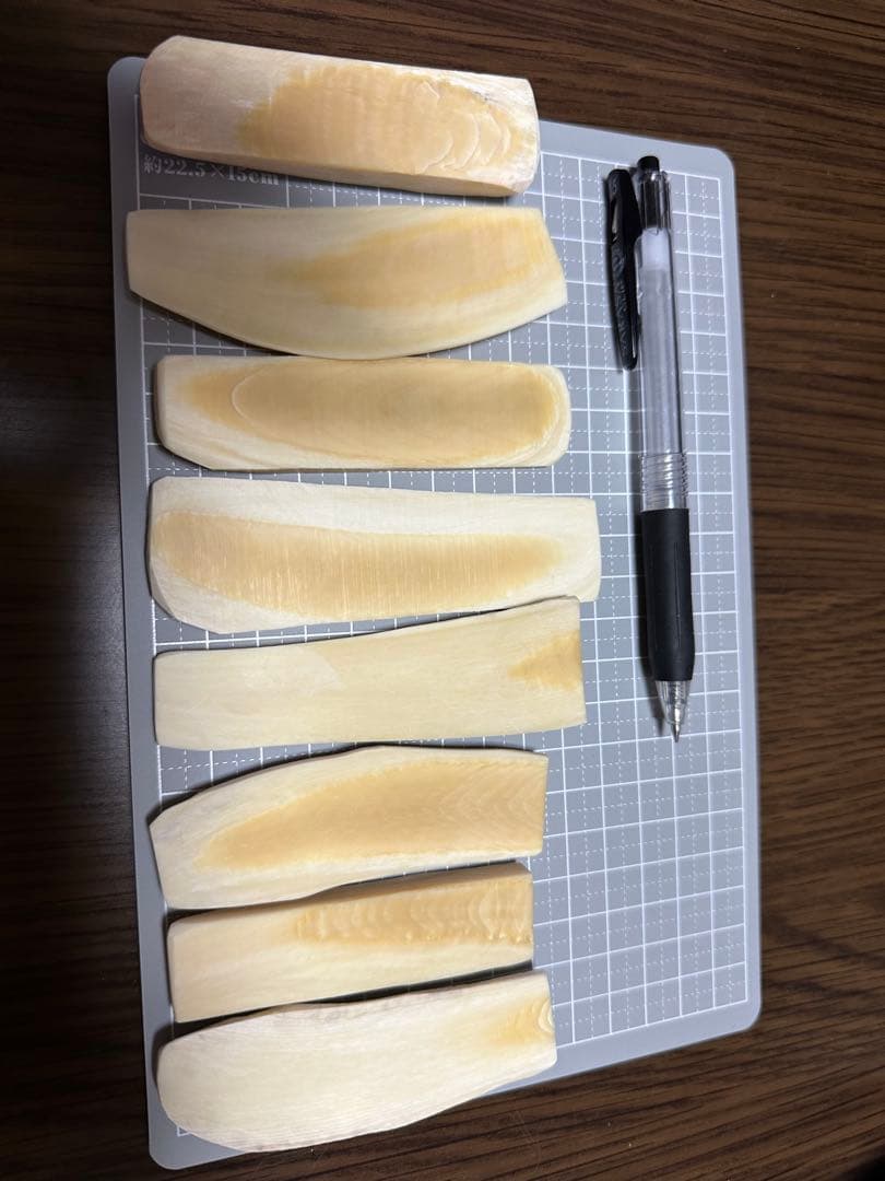 マッコウ鯨歯縦ヒラ切り8枚セット 179g