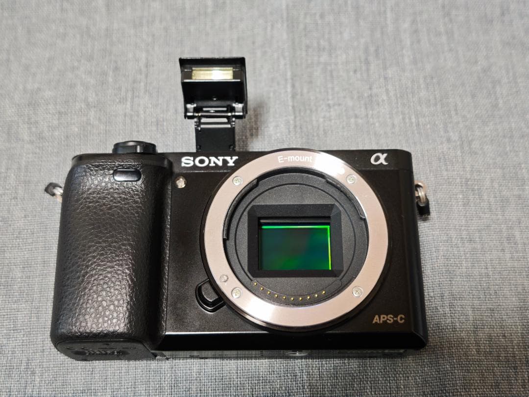 Sony α6000 ミラーレス一眼 APS-C 黒 USB充電式バッテリー付