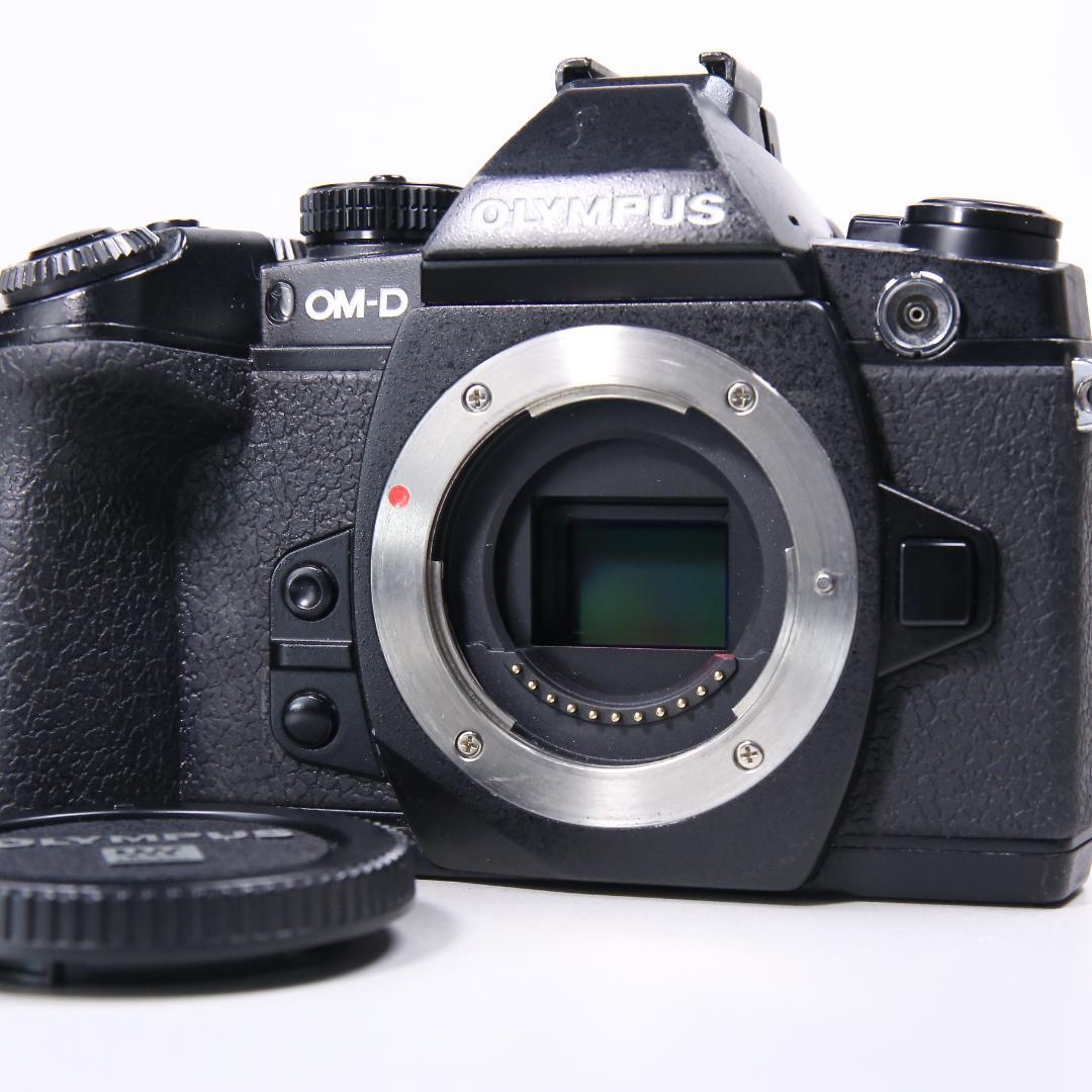 ☆フラッグシップ☆ OLYMPUS OM-D E-M1 ミラーレス一眼　＃393