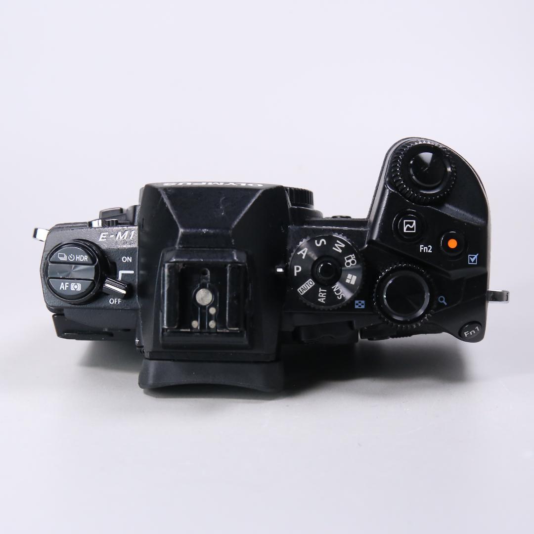 ☆フラッグシップ☆ OLYMPUS OM-D E-M1 ミラーレス一眼　＃393