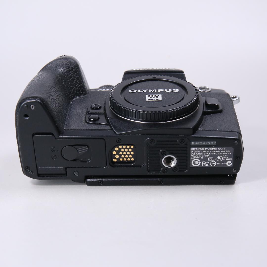 ☆フラッグシップ☆ OLYMPUS OM-D E-M1 ミラーレス一眼　＃393