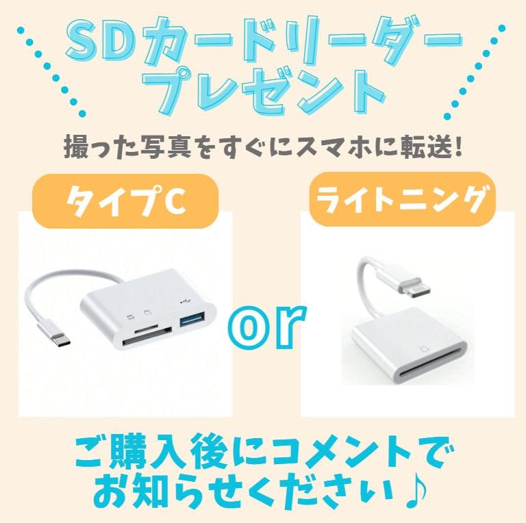 【美品　使用感少】ダブルレンズ　Nikon D3300　スマホ転送　高画質モデル