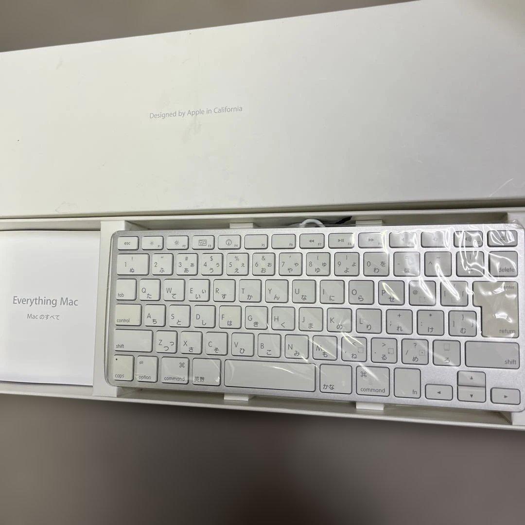 Apple Mac純正USBキーボード A1242 日本語配列＋マウスA1152