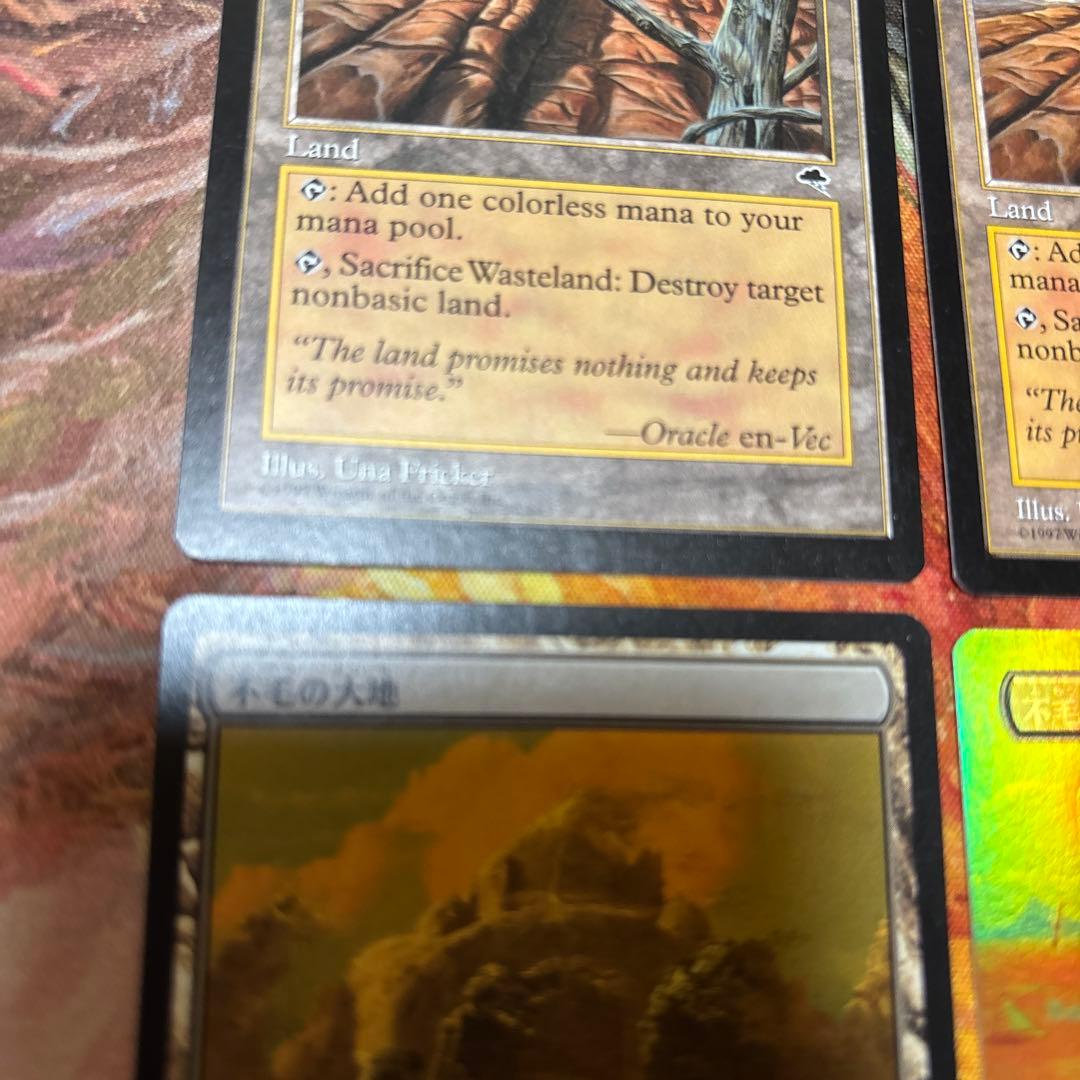 MTG 不毛の大地　テンペスト二枚