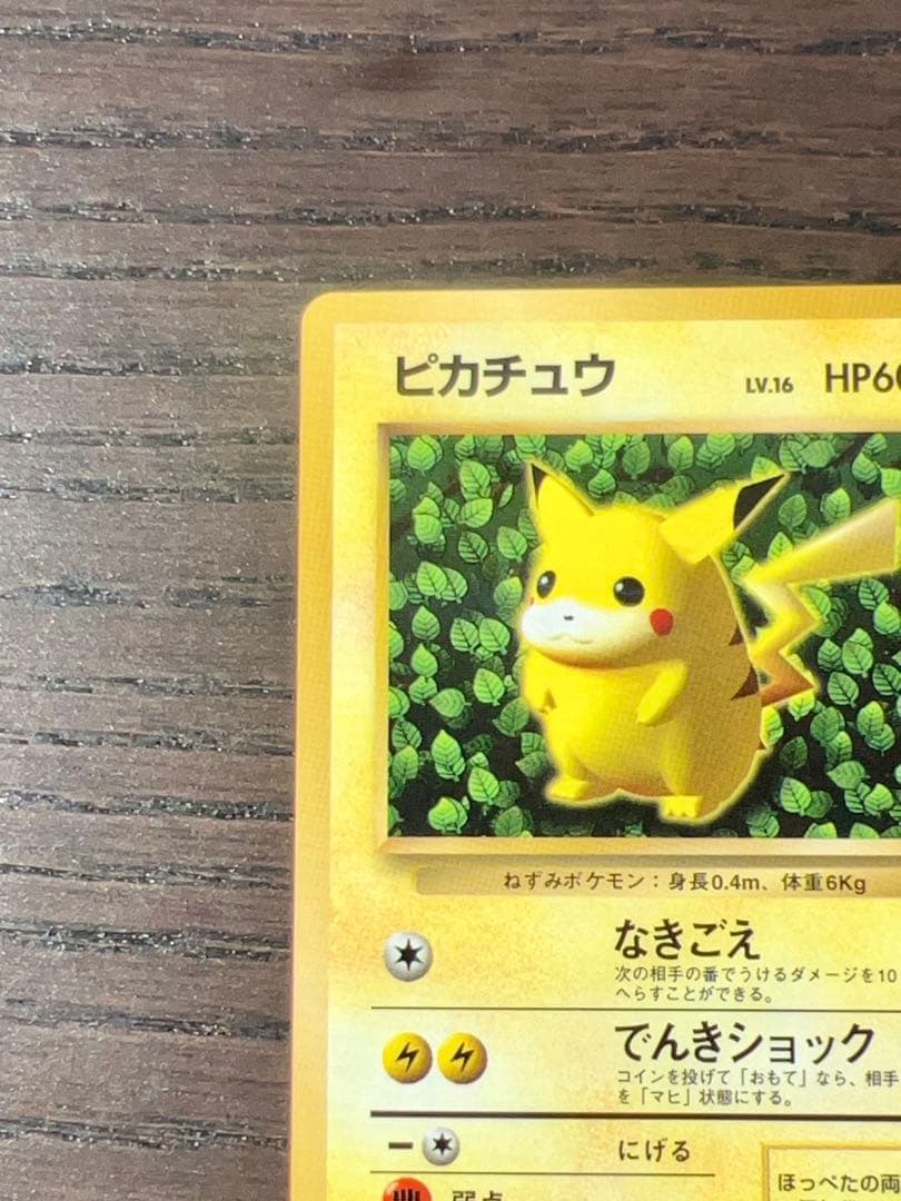 旧裏 ピカチュウ 誤表記 ken sugimori 光沢あり Pikachu