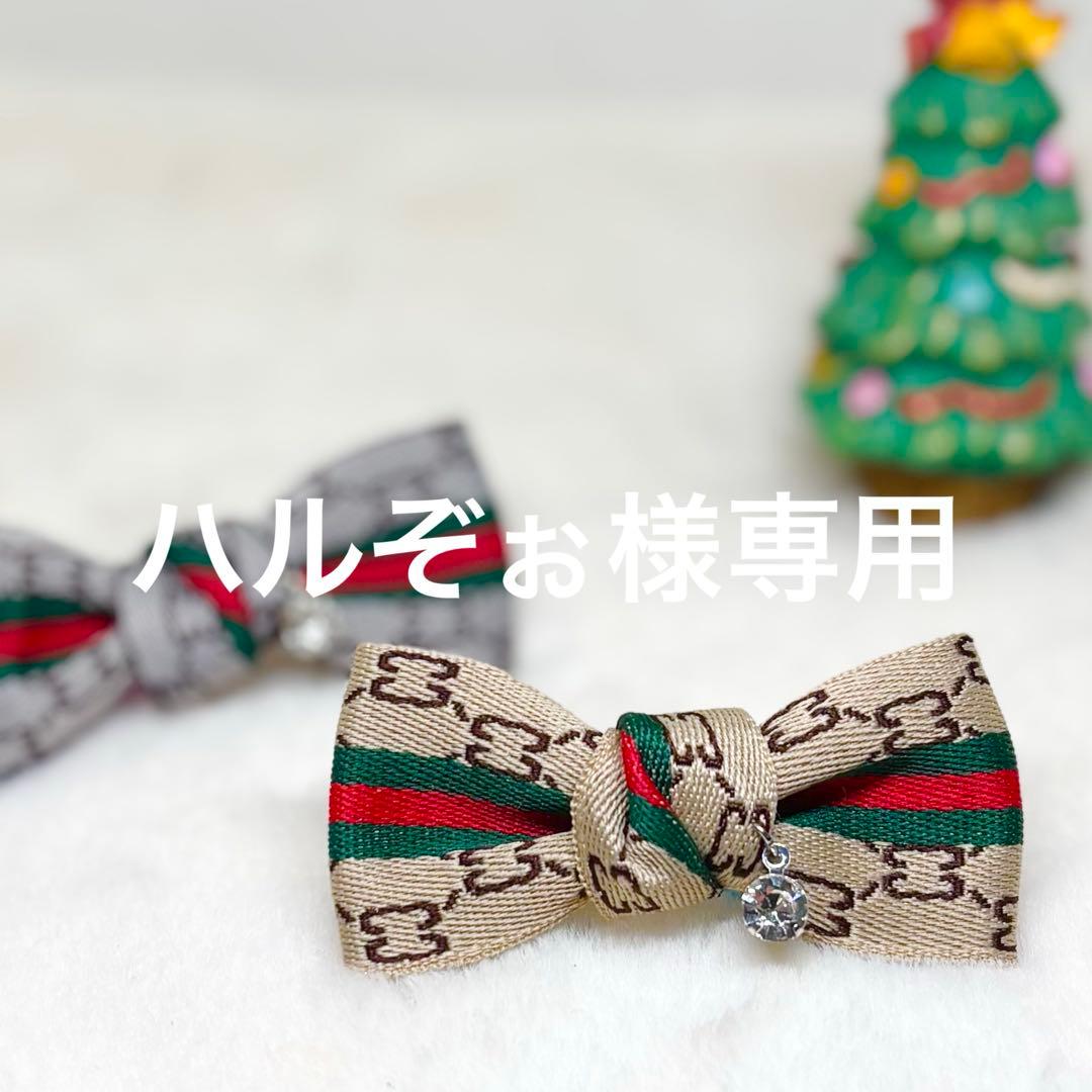 ハルぞぉ