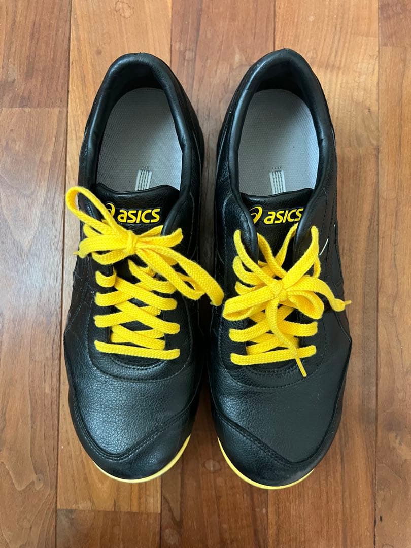 ASICS 静電気帯電防止機能付き安全靴　ウィンジョブ CP30E