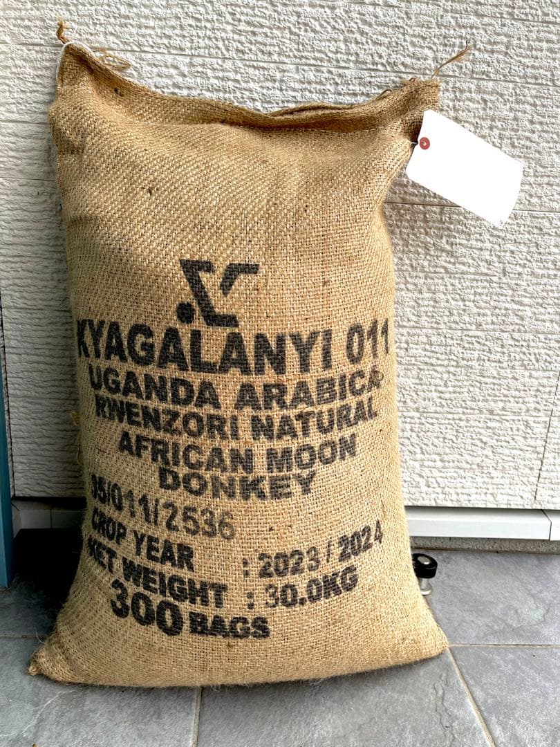 ウガンダ　ドンキーナチュラル　生豆のまま　エコタクト保管　5kg 最後の在庫です