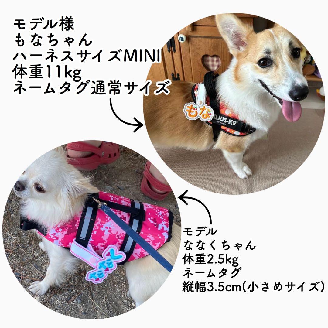 専用ページ★トレポンティ★ユリウスk9★ネームタグ