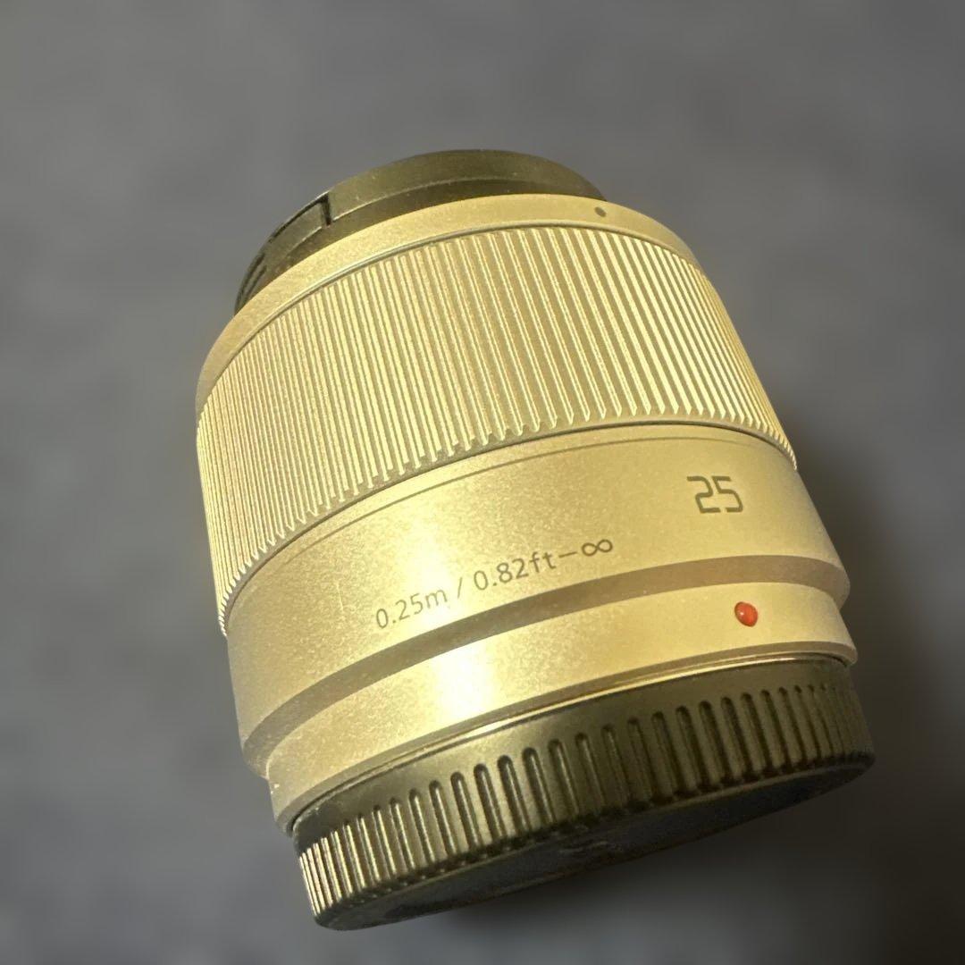 デジタルカメラ Panasonic LUMIX DC-GF9W 12-32mm