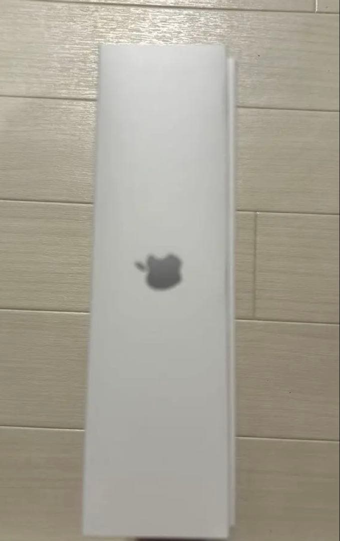 Apple iPad 第9世代 本体 充電器USB-Cケーブル シルバー 箱付き