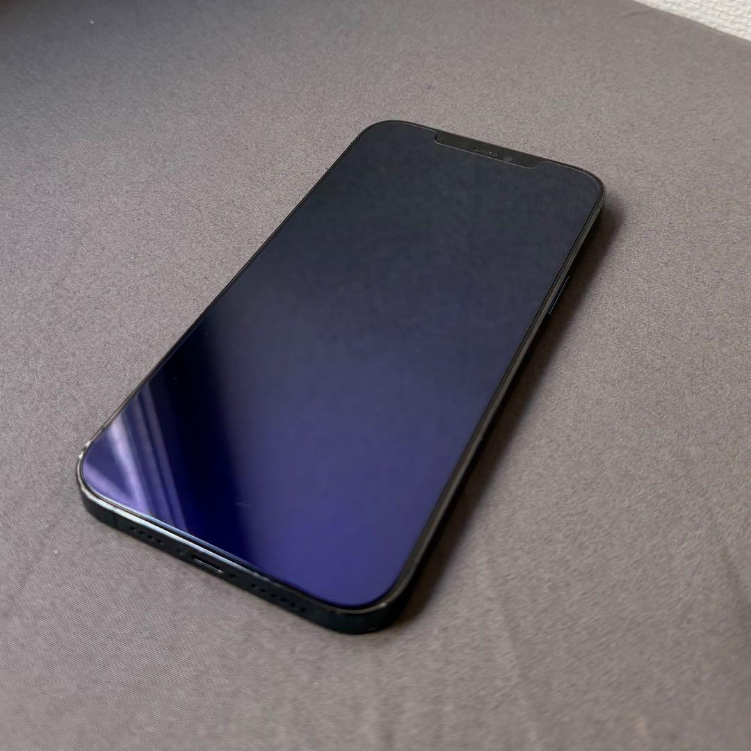 Apple iPhone12 ProMAX ブルー