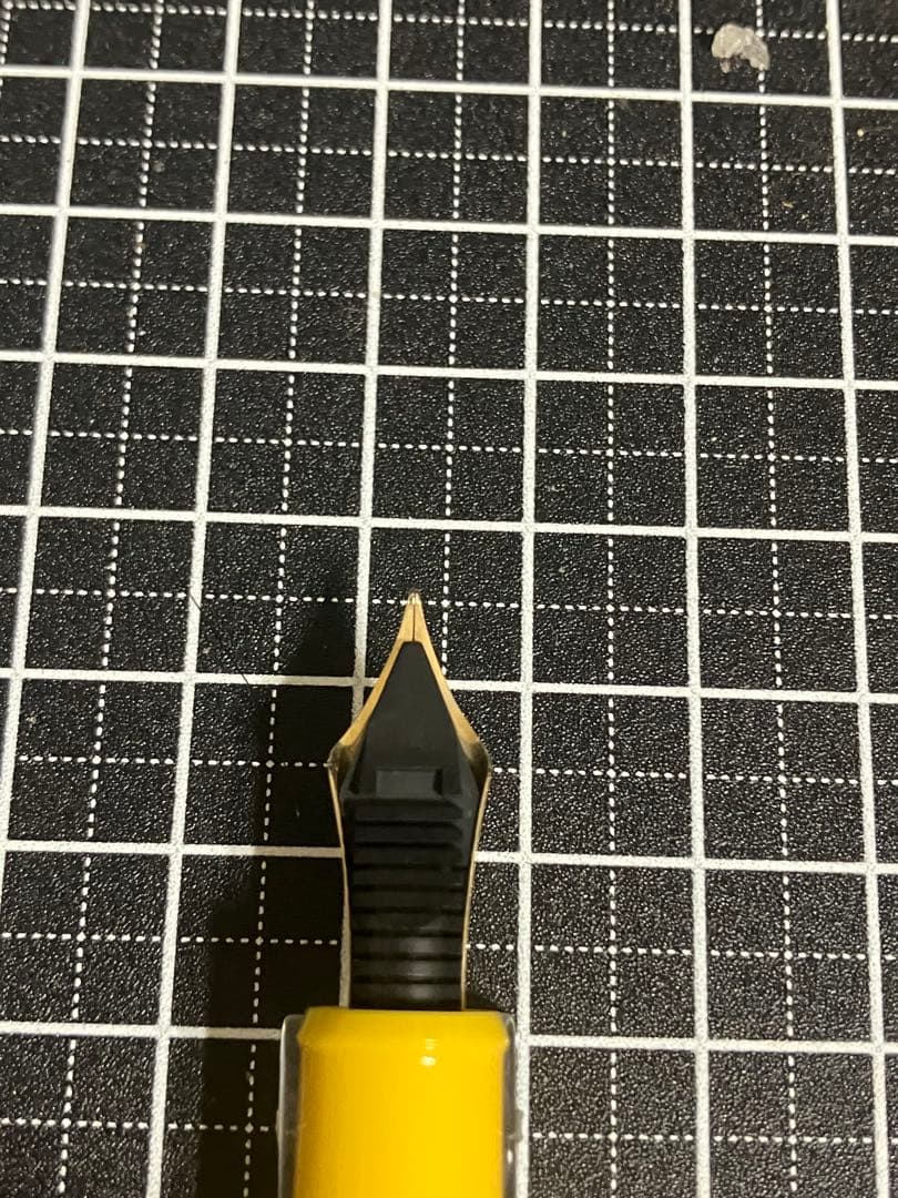 PLATINUM　#3776　センチュリー　三越世界の万年筆祭限定　連翹　M