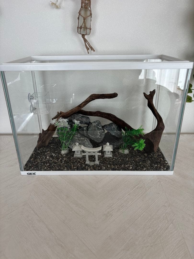 GEX 水槽フルセット 40㎝‼️おまけ付き‼️