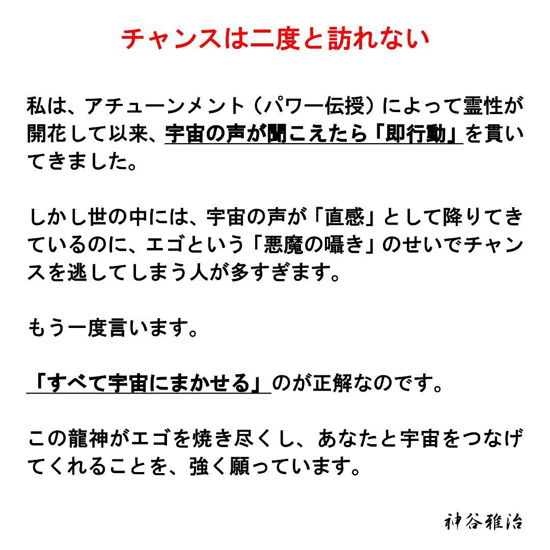 【至高の特大龍神護符】宇宙にすべてを委ね、真の幸福を手にしたいあなたへ※88
