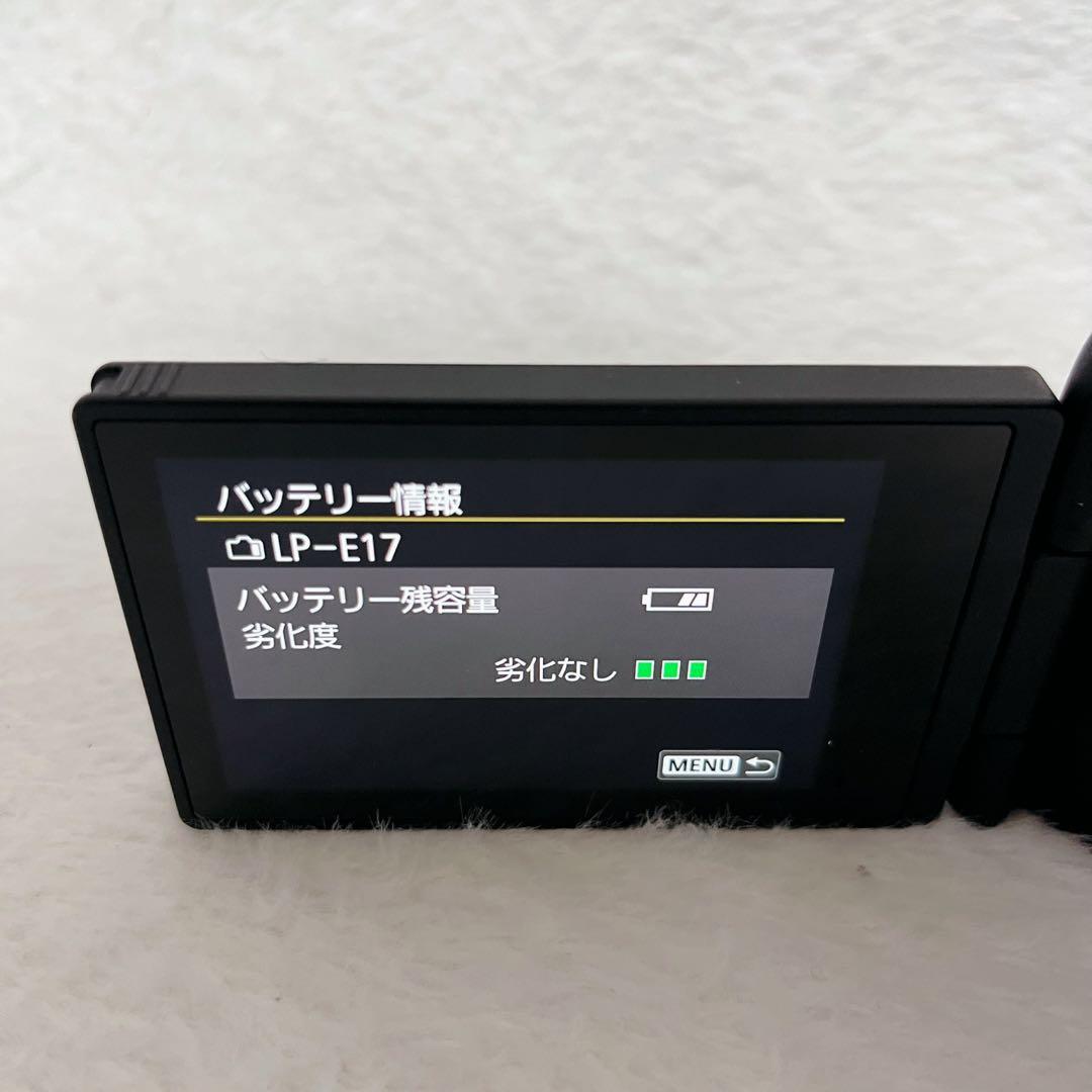 ☆美品☆ canon EOS R10 本体　【ボディ】