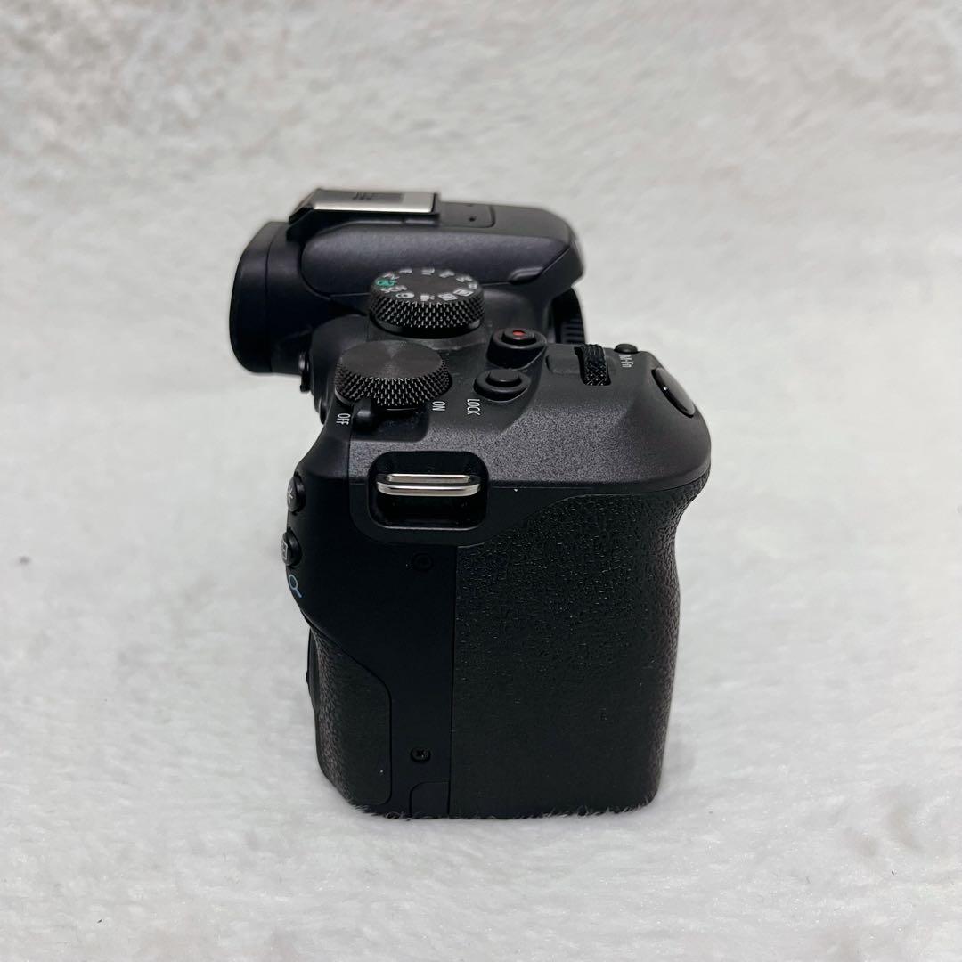 ☆美品☆ canon EOS R10 本体　【ボディ】