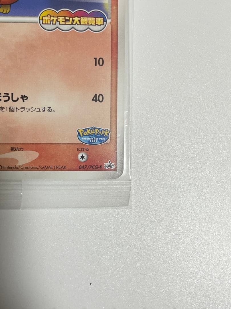 ✨未開封✨　ポケパーク　アチャモ