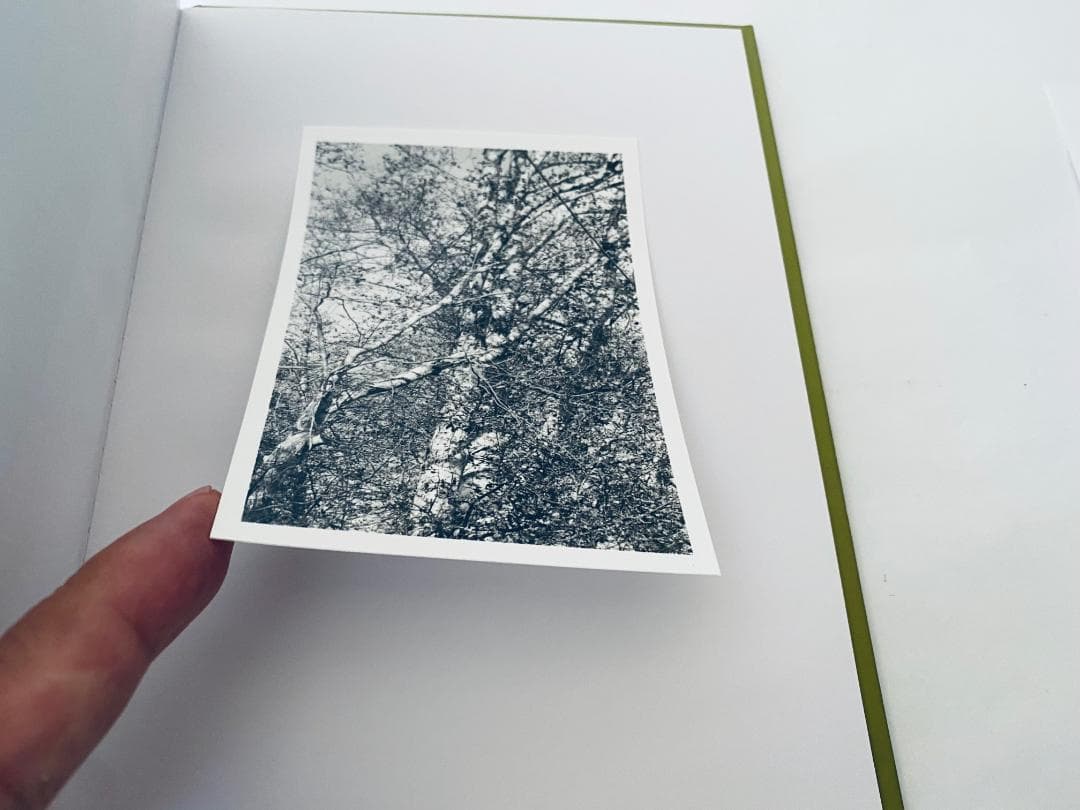 Robert Adams ロバート・アダムス「ALDERS」プリント、サイン付き