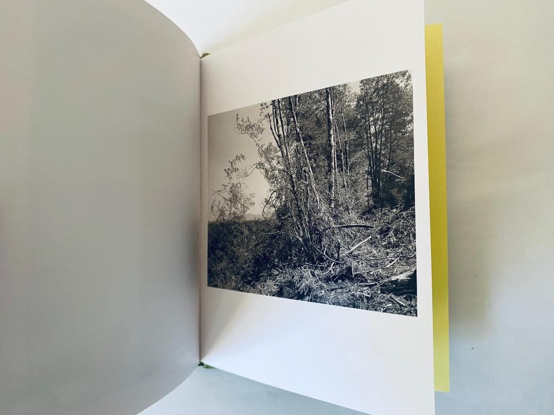 Robert Adams ロバート・アダムス「ALDERS」プリント、サイン付き
