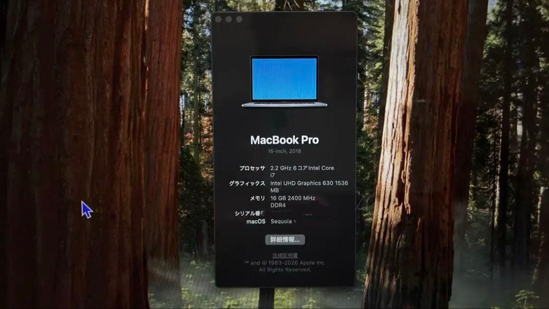 MacBookPro A1990 i7 16GB 256GB 中古美品