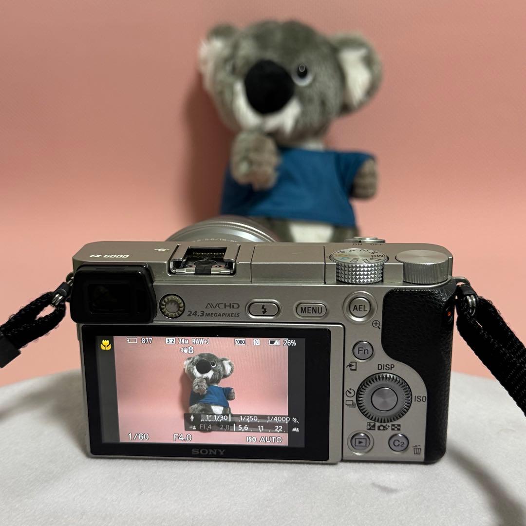 SONY α6000 ミラーレス一眼