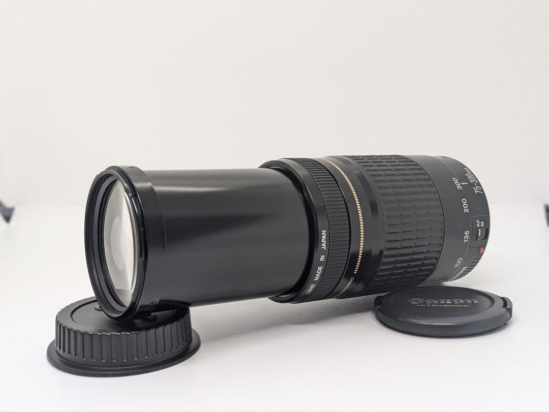 2月22日限定価格【超望遠レンズ】Canon EF 75-300mm USM