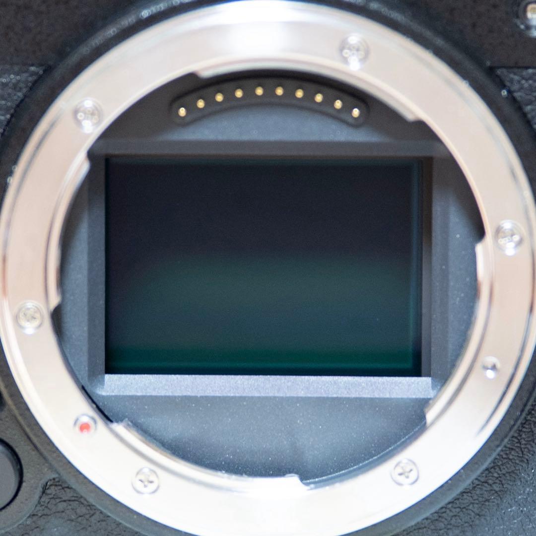 LUMIX S9 ブラック 追加純正バッテリー・SmallRigレザーケース付き