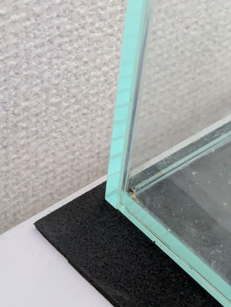 ADA 60cmキューブガーデン　ハイタイプ　引き取り限定