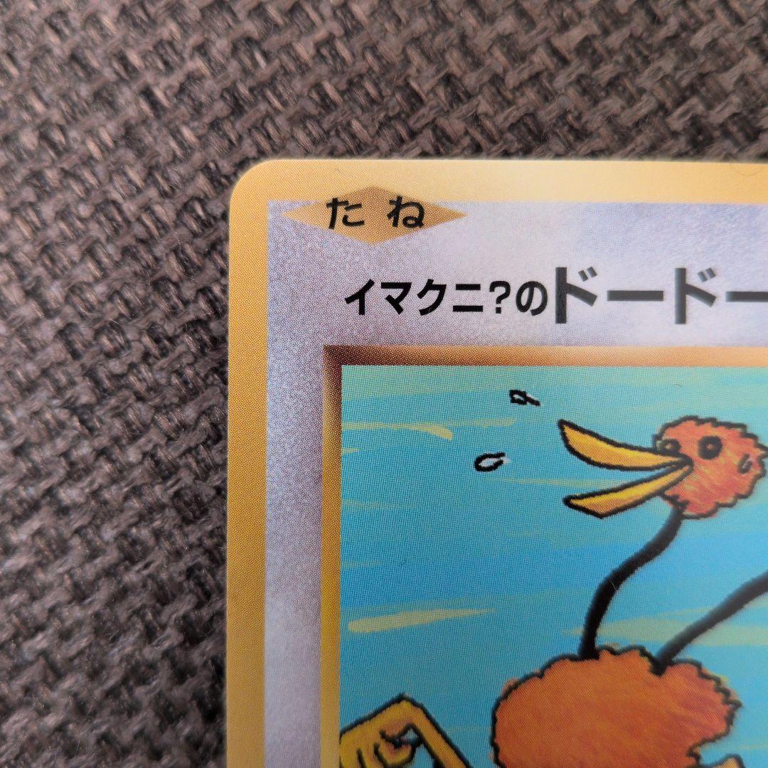 イマクニ？のドードー CP6 ポケモンカード