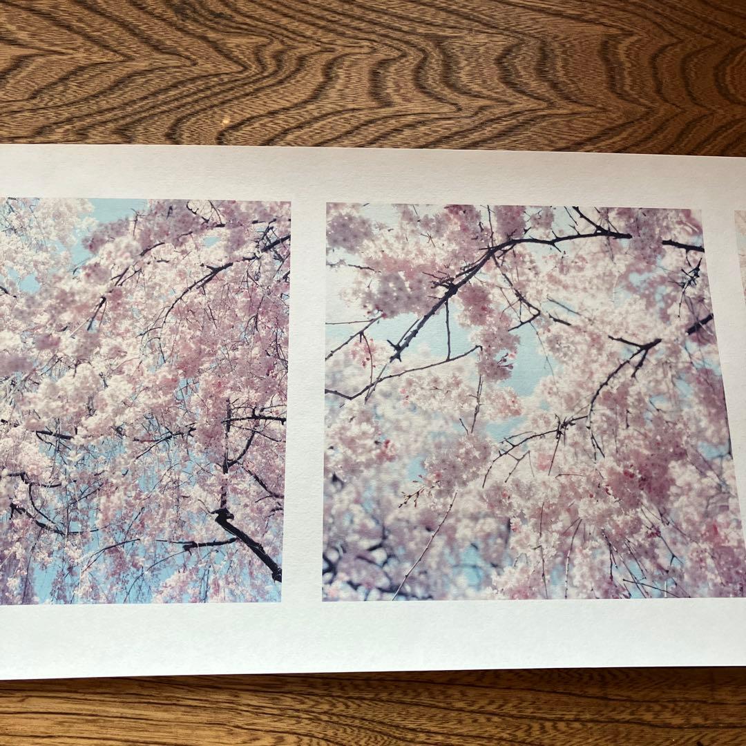 川内倫子　絵巻物写真集　やうやうしろく