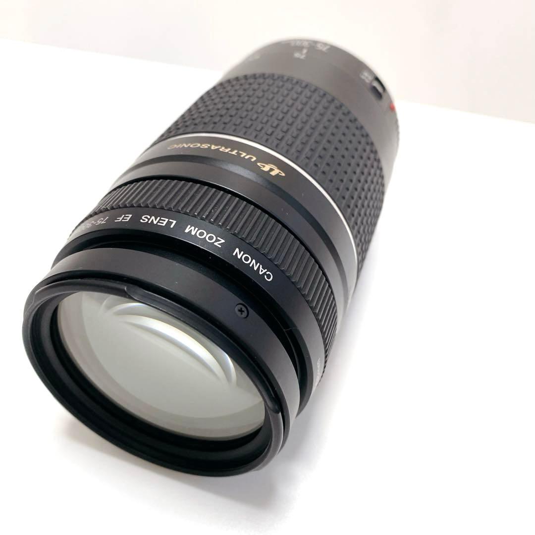 Canon AFレンズ EF 75-300mm F4-5.6 III USM