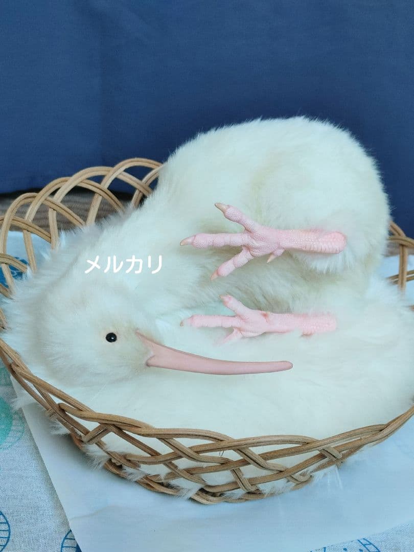 アートドール「白変種のキーウィ」作家作ぬいぐるみ artdoll