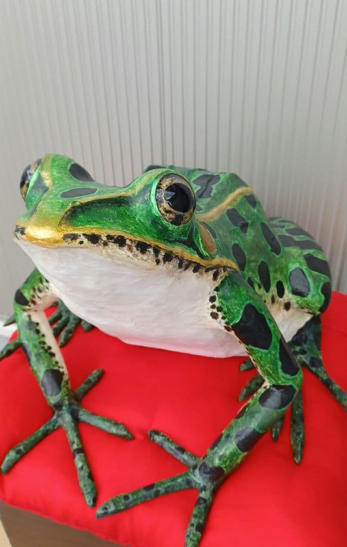 ４月のカエル君　福ダルマガエル