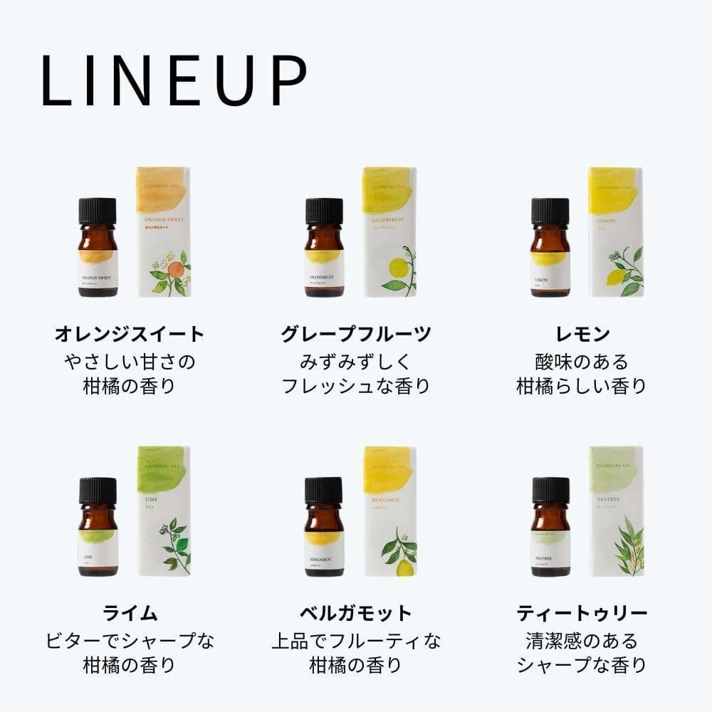 生活の木 エッセンシャルオイル 5ml 12本セット